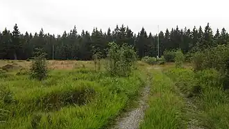 Lichtung am Kreuzstein mit Waldklimastation