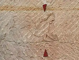 Feldzeichen der 22.&nbsp;Legion