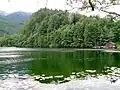 Krotensee vom Westufer