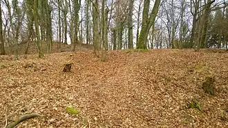 Blick von Süden auf Vorplateau und Turmhügel (links)