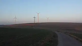 Das Kuppensteiner Wild