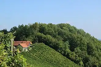 Kuruzzenkogel von Südwesten (Kellergasse)