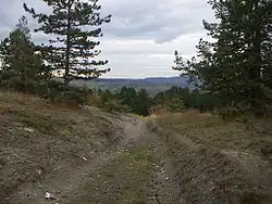 Typischer Wanderweg im Kyffhäuser