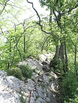 Ruppiger Weg auf dem Lägerngrat