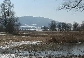 Lägern von Osten aus dem Neeracherried