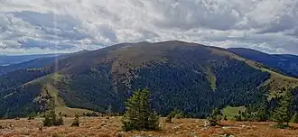 Blick von Südwesten auf den Lärchkogel. Links Kreuzsattel, rechts Melkboden und Zechneralm.