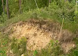 Erdaufschluss eines Walls der Läsekenburg