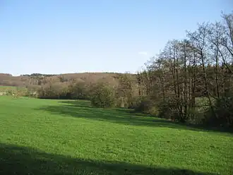Lörmecketal südlich Hohler Stein