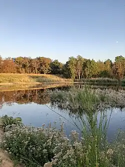 Stillgewässer (2020)