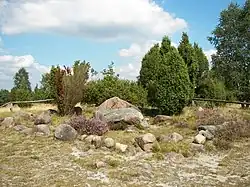 Hannibals Grab nahe Wilsede