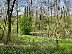 Lüttringhauser Bachtal