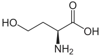 L-Homoserin