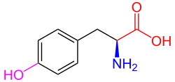 Strukturformel von L-Tyrosin mit eingefärbten funktionellen Gruppen
