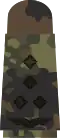 Aufschiebeschlaufen mit schwarzen Em­blemen auf 5-Far­ben-Flecktarn für Luftwaffenuni­formträger (hier: Stabshauptmann)
