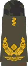 Aufschiebeschlaufe Generalarzt (Lw)