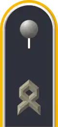 Schulterklappe Oberfähnrich (Dienstanzug Luftwaffenuniformträger) (Grundform der Schulterklappe wie Offiziere)