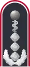 Dienstgradabzeichen eines Oberstarztes i. G. (Approbation für Humanmedizin) auf der Schulterklappe der Jacke des Dienstanzuges für Luftwaffenuniformträger