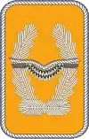gestickte Kragenspiegel für Offiziere und Oberfähnriche (außer Generale und Offiziere im Generalstabsdienst) der Luftwaffe