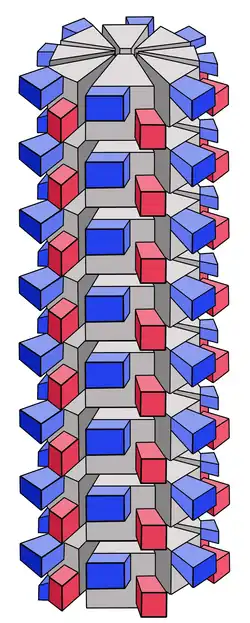 Schema eines helikalen Kapsids