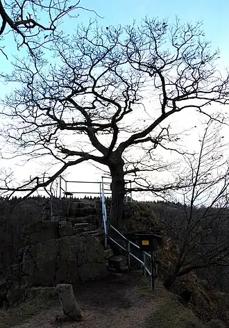 Gipfel der La Viershöhe mit umzäuntem Aussichtspunkt und Stempelstelle (Nr.&nbsp;72) der Harzer Wandernadel