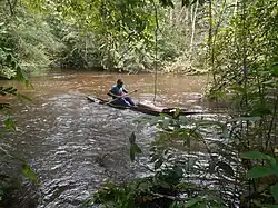 Ein junger Mann sitzt mit einer Reuse vor sich in einem Einbaum. Das Wasser des Flusses ist schlammbraun. Auf allen Seiten ist dichte Vegetation.