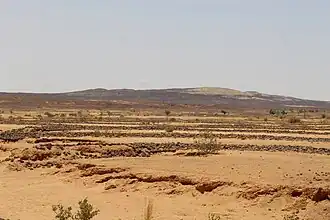 Gadamata-Tal im Ader Doutchi (2023)