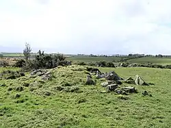 Loughmacrory Court Tomb