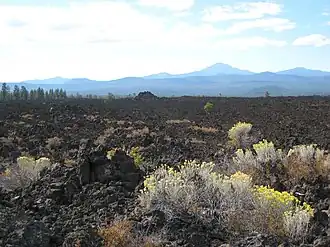 Lavafeld im National Monument