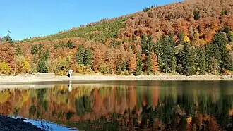Lac du Ballon mit Blick auf die Staumauer