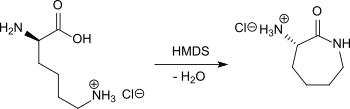 Lactamisierung mit Hexamethylendisilazan