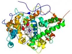 Lactoperoxidase