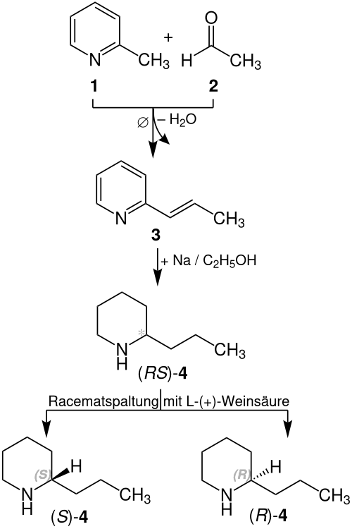 Ladenburg-Synthese – Edukte, Zwischenprodukte und Details