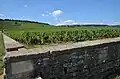 Lage Romanée-Conti in Vosne-Romanée 2016