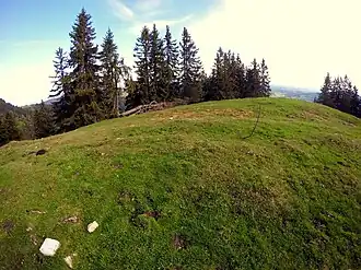 Gipfelbereich des Lahnenkopfes