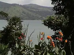 Vielfältige Vegetation um den See