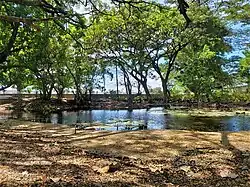 See und Sumpffläche in Pante Macassar