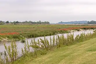 Die verlegte Wörnitz mit einem Deich