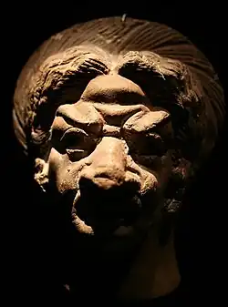 Alte Frau mit aufwendiger Frisur.