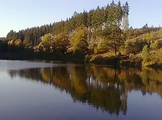 Blick vom Staudamm auf das Westufer. Die Fichten sind deutlich auf dem Rückzug, dafür entsteht langsam wieder Laubmischwald.