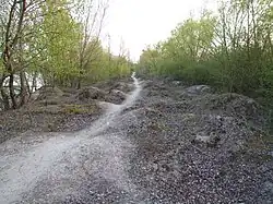 Landzunge zwischen Gänsedrecksee und See Binsfeld