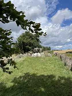 Längsaufnahme der Langdysse