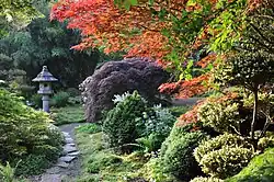 Botanischer Garten (hier: Garten der aufgehenden Sonne)