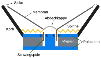 Konus-Lautsprecher schematisch, seitlicher Schnitt („Abdeckkappe“ = Staubschutzkalotte)