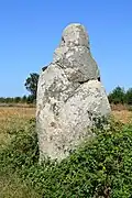 Menhir des Petites Jaunières