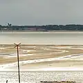 Das Bassin d’Arcachon bei Ebbe