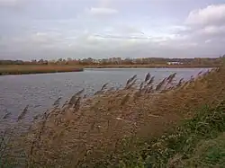 Klärteiche der ehemaligen Zuckerfabrik