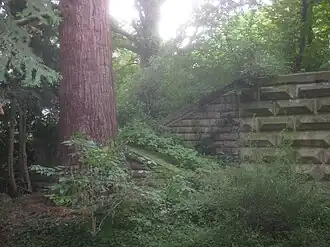 Linke Freitreppe und Mammutbaum (66).