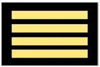 Leitender Branddirektor