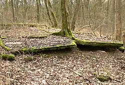 Bodenplatten der Entbindungsbaracke für osteuropäische Zwangsarbeiterinnen