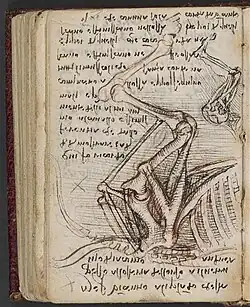 Manuskript K: Skizze zur Anatomie des Pferdes